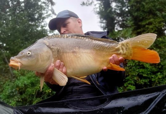 Pêcher au feeder est source d'observation...et réserve parfois de très jolies surprises ! 