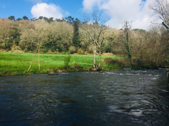 Les rivières caillouteuses oxygénées et de bonne qualité hébergent des populations de petits chabots régulièrement consommés par les truites