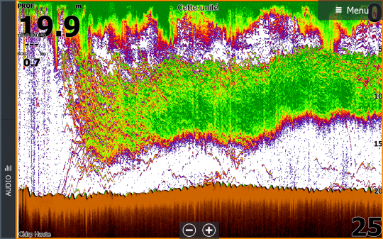 Dans la continuité de la capture précédente, sur la même zone mais quelques instants plus tard. Il y avait une chasse d'oiseaux de grande ampleur sur la zone.  Capture 6