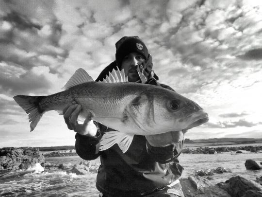 La persévérance paye pour réussir à piquer des gros bars depuis le bord de côte.
