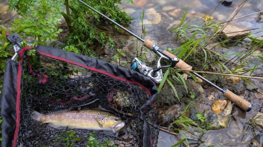 Cet ensemble léger permet de pêcher sans se fatiguer. L'action de la canne est vraiment importante pour éviter de décrocher les poissons.
