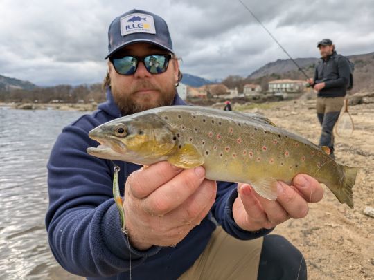 Une belle truite à la Illex Tricoroll Spoon pour Christian