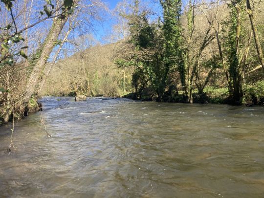 La Bretagne dispose de nombreuses rivières ou tronçons de rivière qui se prêtent très bien à la pêche en nymphe au fil, technique qui a le vent en poupe ces dernières années