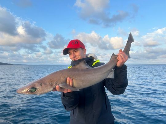 De belles surprises !