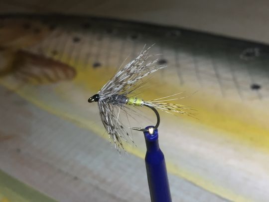 Les éphémères claires sont nombreuses et cette noyée pourra leurrer les truites pendant les éclosions