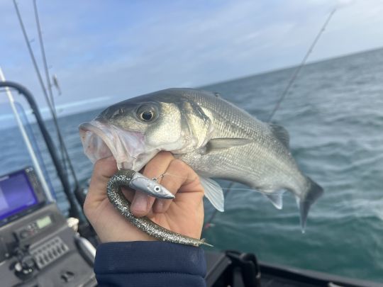 Il n'aura pas fallu patienter bien longtemps avant de voir les premiers poissons rejoindre le bateau.