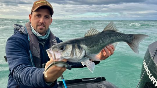 Changement de stratégie payant, avec plusieurs jolis poissons, comme celui-ci, venus au bateau avant de repartir grandir encore un peu.