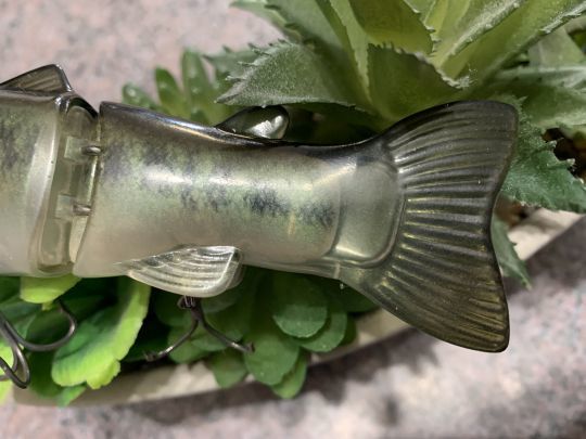 La peau se révèle résister aux dents des brochets.