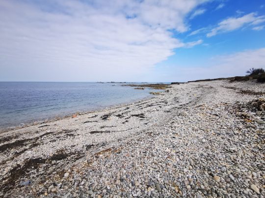 Une pleine mer sur une plage de galets : le spot concentre moins de nourriture. Ici, nous rencontrerons surtout du poisson de passage.
