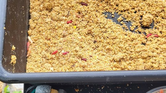 L'importance de bien amorcer.