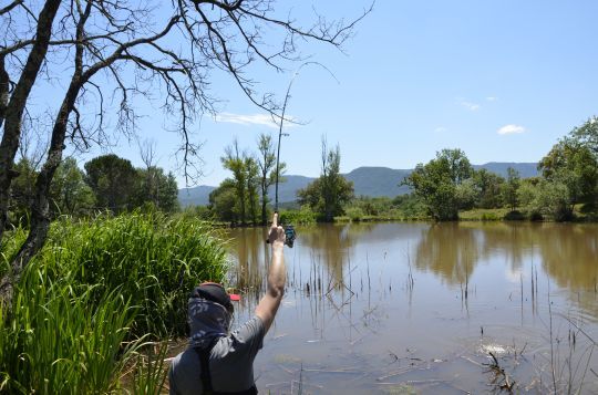 Pêcher les bordures.