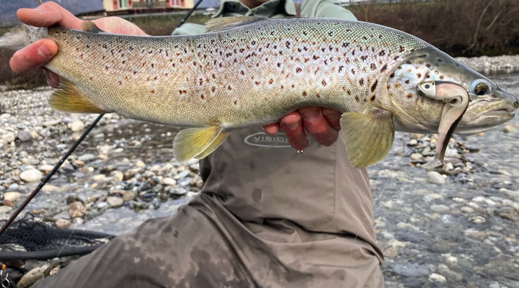  Edici�n especial Pesca de truchas