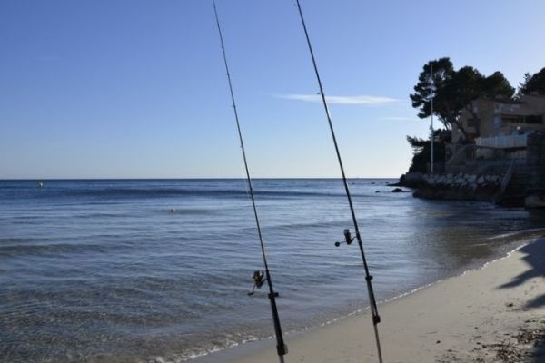 El verano es una buena estacin para el surfcasting