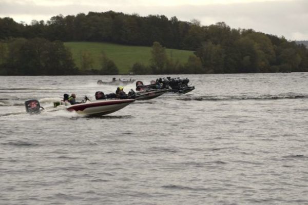 Mercury Pesca IV