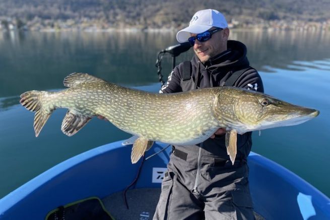 Un bonito lucio de los lagos alpinos