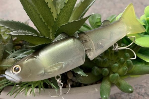 �El Nuevo Slide Swimmer 115 es espl�ndido!