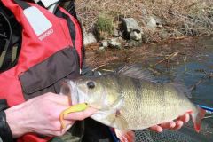 Gran caa cogida con un grub