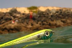 El stickbait, un seuelo de superficie dura