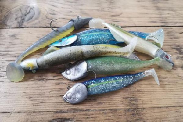 Los diferentes usos de los sábalos para la pesca de la lubina