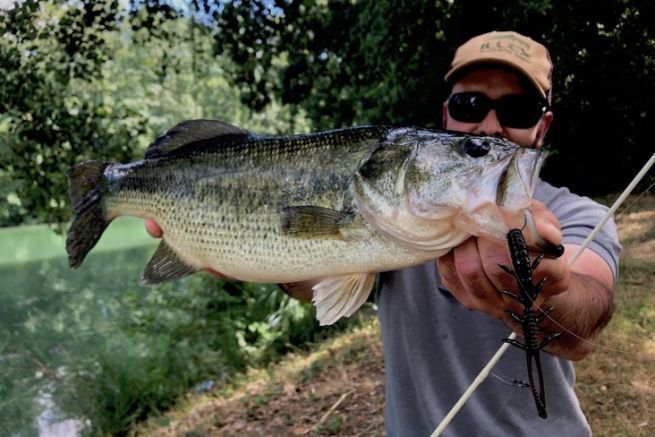 PESCANDO LUBINAS (BASS) con LOMBRICES FINAL INESPERADO 