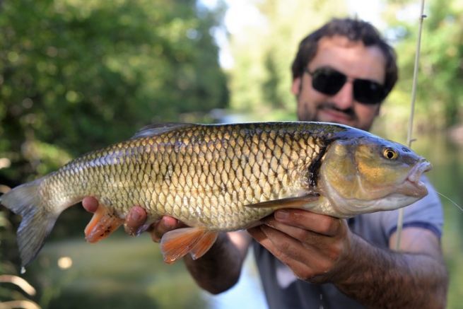 La pesca del pescado blanco con seuelos: gobbers o diggers?
