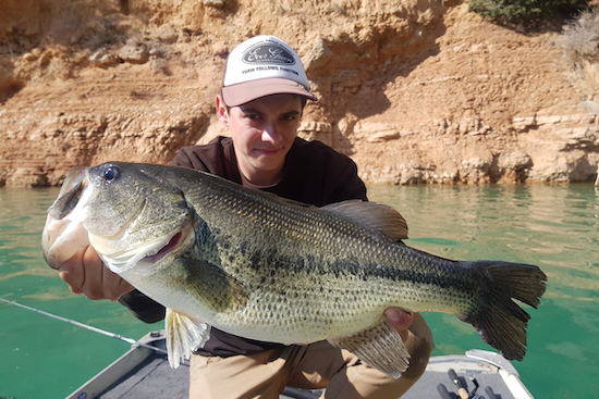 ¡Black-bass, consigue la animación adecuada para la pesca de jerkbait minnow!