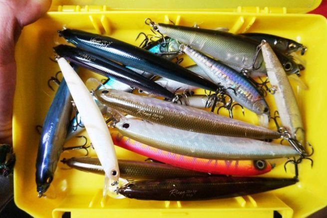 Black-bass: elige los colores de tu jerkbait minnow segn las condiciones de pesca