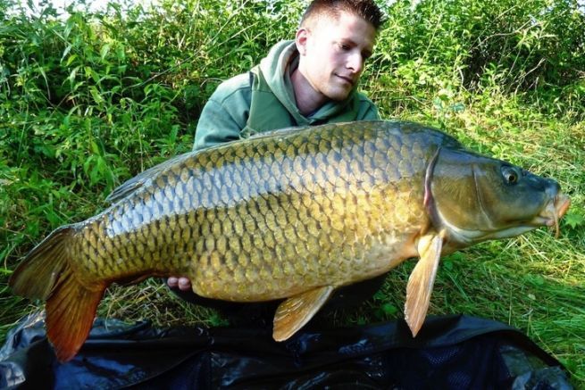 Cosas imprescindibles que debes llevar para ir de pesca