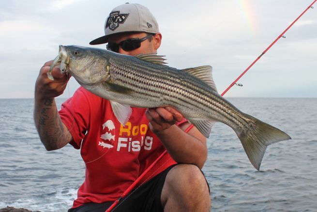 Comprender las 4 fases de las mareas para la pesca de la lubina rayada desde la costa en Canad