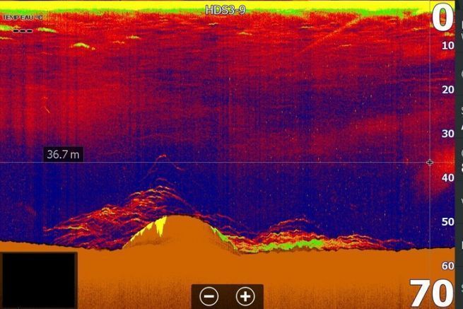 Analizar una captura de pantalla de una sonda para la pesca de abadejo en pecios