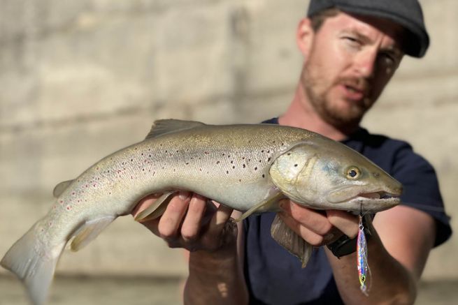 Pesca de truchas con seuelos en embalses, atrvete con los jigs metlicos!