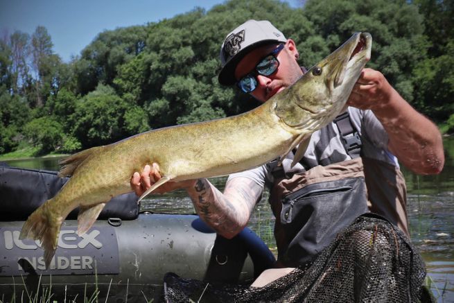 Rape capturado durante una sesin de pesca con flotador, Quebec.