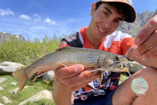 Pesca de salmnidos: el montaje del bulldog al detalle