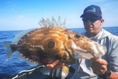 El Saint-Pierre llama mucho la atenci�n. Intentemos comprender su estilo de vida para poder capturarlo con �xito.