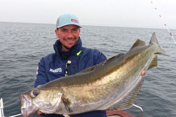 Pesca del abadejo con potera