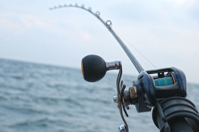 Cómo elegir la caña de pescar adecuada: Spinning vs. Baitcasting