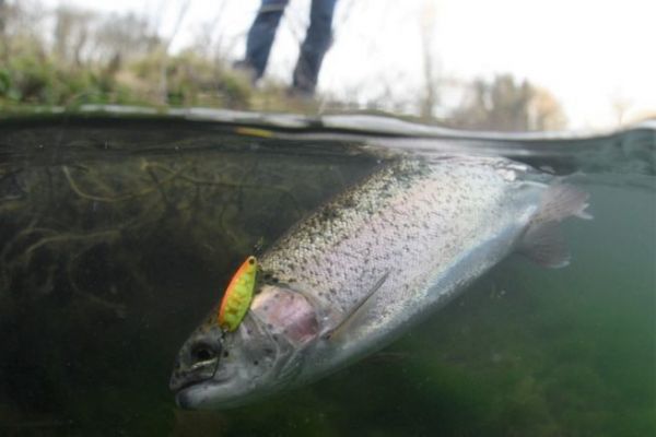 La prctica de la pesca de rea en Francia, una pesquera que atrae cada vez a ms aficionados