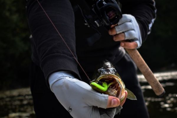 Pesca de ranas con seuelos de cuerpo blando, dirigidos a depredadores