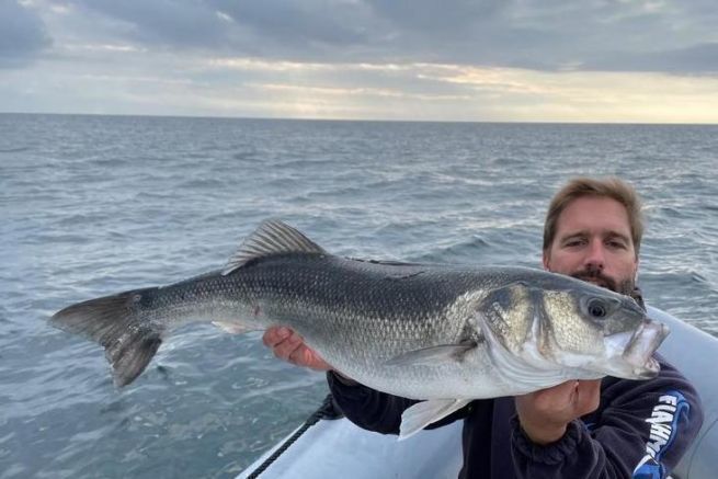 Tallas simblicas de los peces 