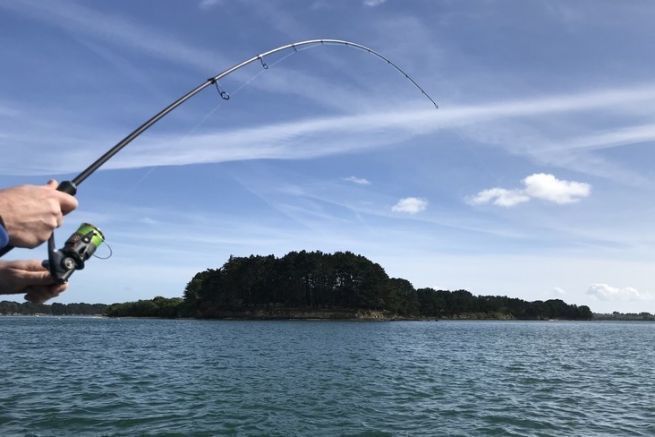 Elija sus anillos en funci�n de su uso y necesidades