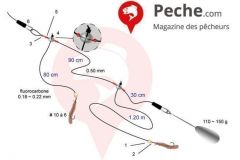 Surfcasting nocturno en el Mediterrneo