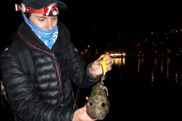 Pesca nocturna de la sepia