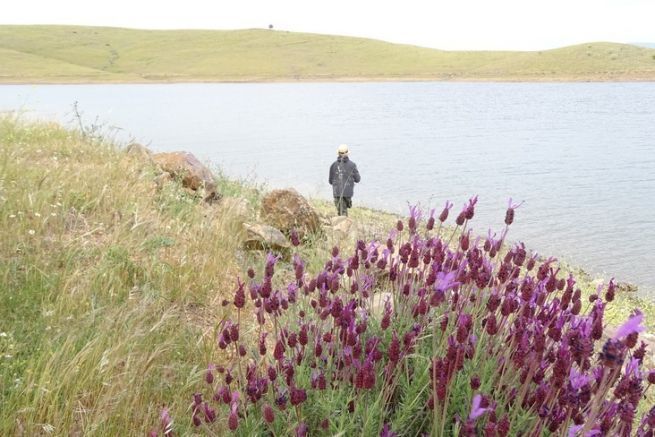 Los beneficios psicolgicos de la pesca, un acercamiento a la zenitud