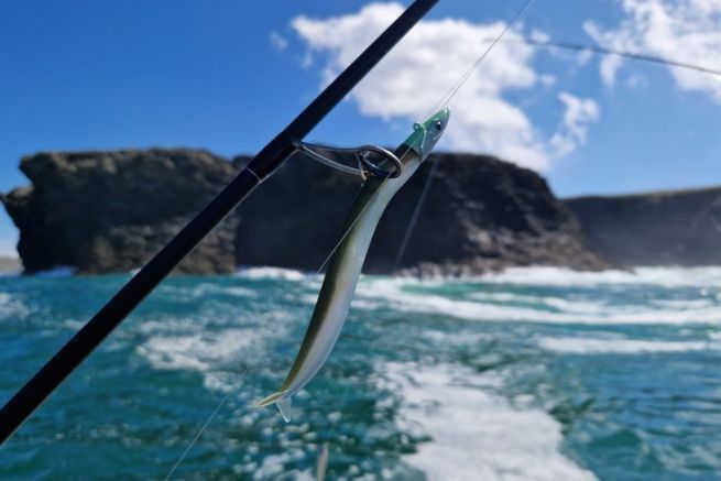 La seleccin del equipo para pescar lubinas desde un barco cerca de la costa