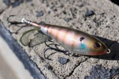 El seuelo de superficie Berkley choppo, una referencia para el black bass.