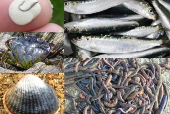 Pesca con cebos en el mar, se le ofrece una gran diversidad