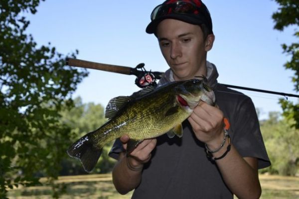 Pesca a pez visto del black bass en verano