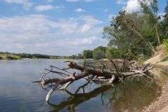 El Loira en los alrededores de Amboise.