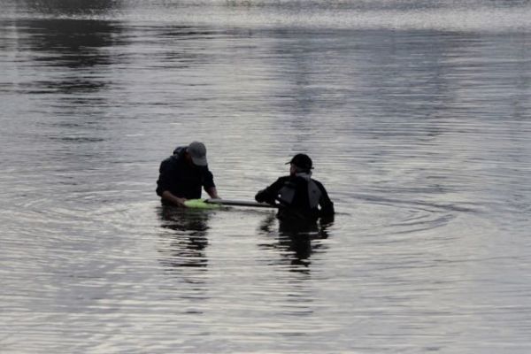 Cebos econmicos y manejables para la pesca martima