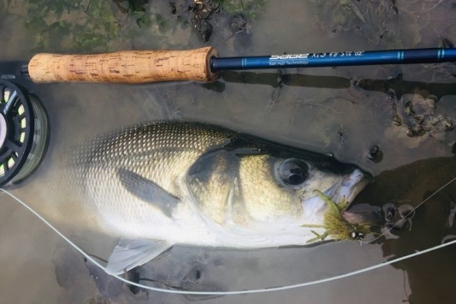 La pesca a mosca, una pesca tcnica y apasionante